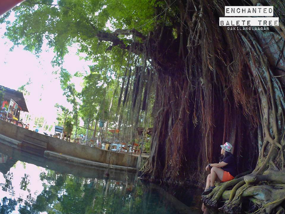 Siquijor Travel Guide, Philippine Travel Guide, 82 Provinces, Dakilanglaagan, Enchanted Balete Tree