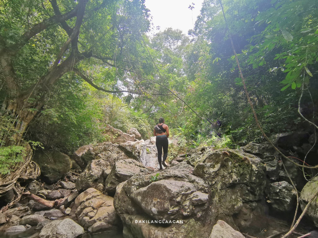 Spartan Trail: Farewell to Cebu City's Favorite Hiking Destination?
